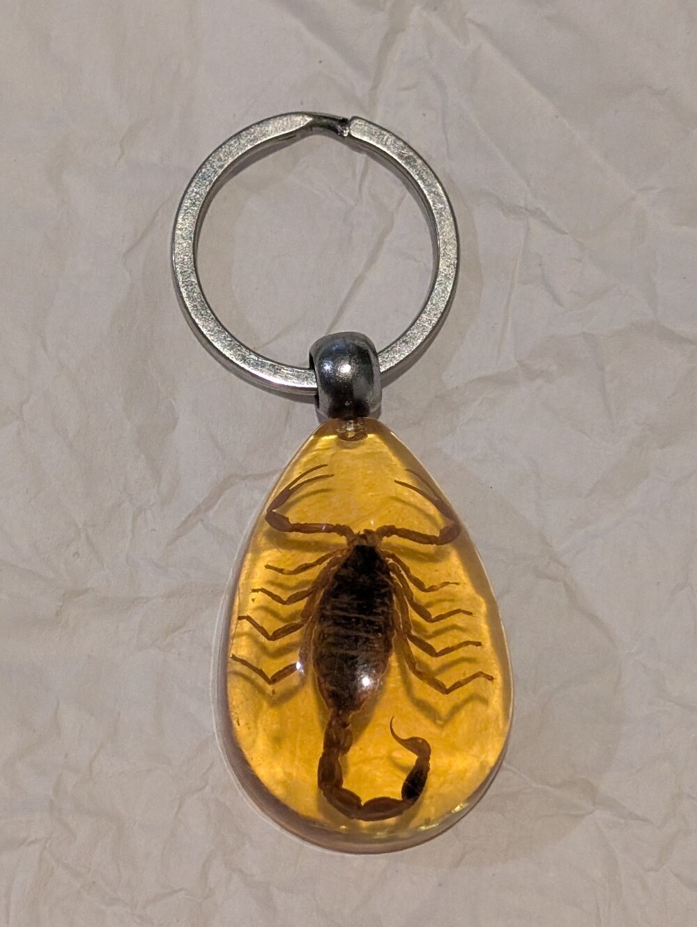 Vintage Lucite Scorpion Key Chain - Super Neat - Preserved Specimen